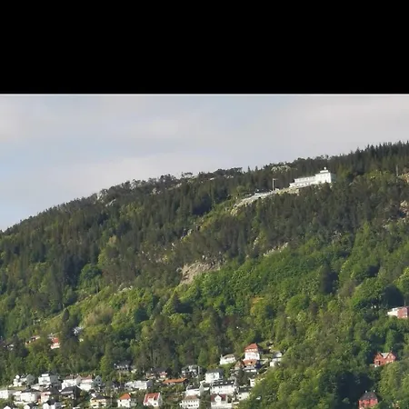 Spacious And Beautiful In With Free Parking *